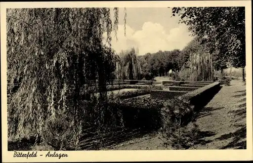 Ak Bitterfeld in Sachsen Anhalt, Anlagen, Park