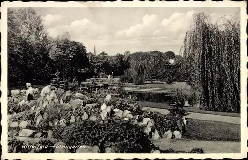 Ak Bitterfeld in Sachsen Anhalt, Steingarten, Park