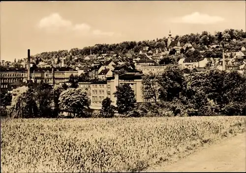 Ak Hohenstein Ernstthal in Sachsen, Panorama