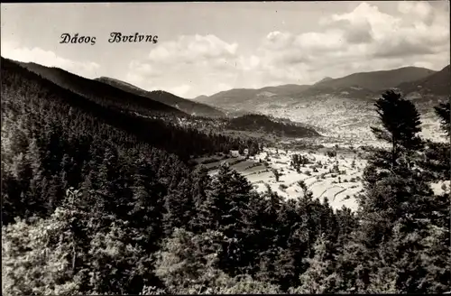 Foto Ak Vitinis Griechenland, Panorama vom Ort, Wald