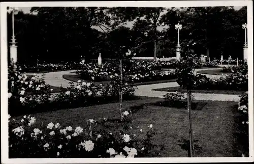 Ak Amsterdam Nordholland Niederlande, Rosarium Kleurenpracht I I, Een mooi hoekje