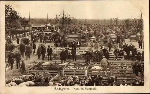 Ak Bodegraven Südholland, Kaas- en Veemarkt