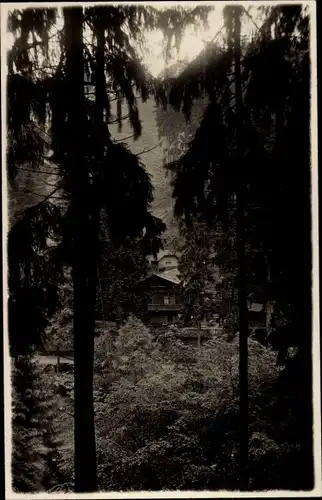 Ak Schwarzburg in Thüringen, Schweizerhaus im Schwarzatal