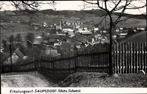 Ak Saupsdorf Sebnitz Sachsen, Panorama