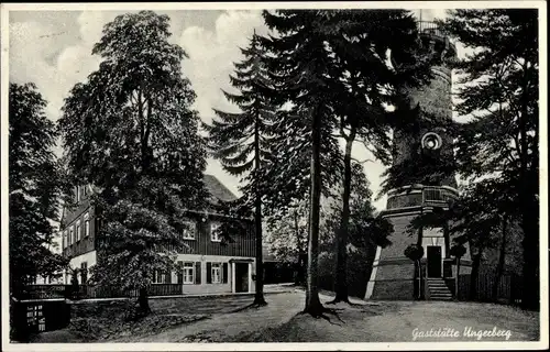 Ak Neustadt in Sachsen, Gaststätte Ungerberg, Turm