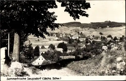 Ak Saupsdorf Sebnitz Sachsen, Teilansicht