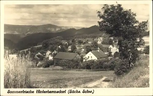 Ak Hinterhermsdorf Sebnitz Sachsen, Panorama