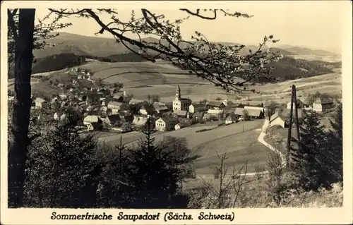 Ak Saupsdorf Sebnitz in Sachsen, Blick auf den Ort, Felder, Kirche