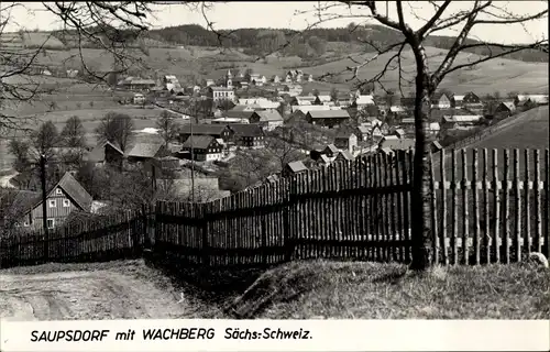 Ak Wachberg Saupsdorf Sebnitz Sachsen, Panorama