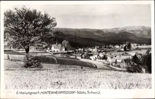 Ak Hinterhermsdorf Sebnitz, Blick auf den Ort, Kirche, Felder