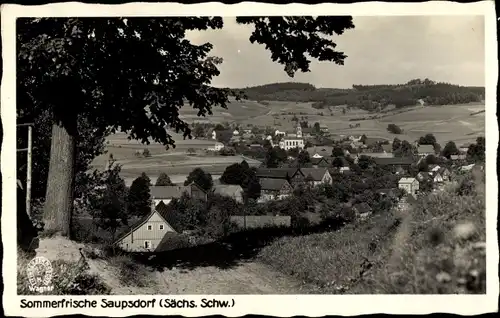 Ak Saupsdorf Sebnitz Sachsen, Teilansicht