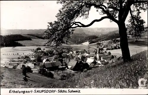 Ak Saupsdorf Sebnitz Sachsen, Gesamtansicht