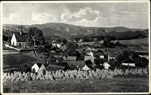 Ak Hinterhermsdorf Sebnitz Sachsen, Panorama mit Kirche