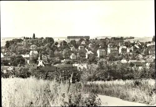 Ak Lunzenau in Sachsen, Ortsansicht