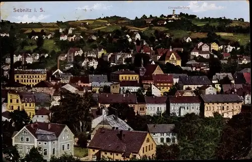 Ak Sebnitz in Sachsen, Panorama