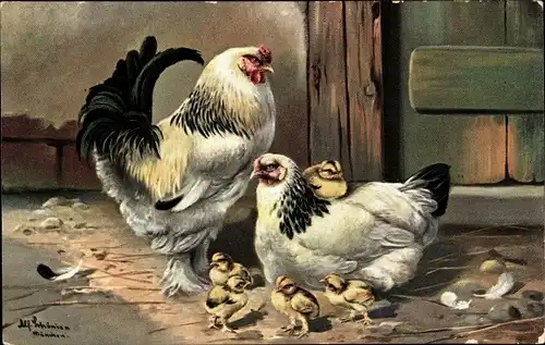 Künstler Ak Schönian, Alfred, Hahn und Henne mit Küken, Hühner