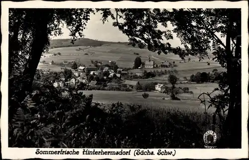 Ak Hinterhermsdorf Sebnitz Sachsen, Panorama