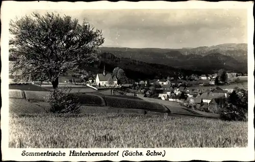 Ak Hinterhermsdorf Sebnitz, Blick auf den Ort, Kirche, Felder