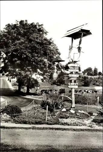Ak Cämmerswalde Neuhausen im Erzgebirge, Wegweiser