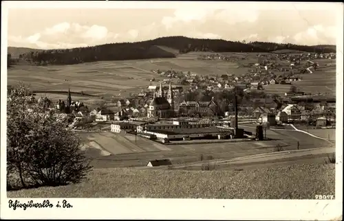 Ak Schirgiswalde in der Lausitz, Panorama