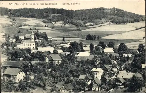 Ak Saupsdorf Sebnitz Sachsen, Panorama mit Wachberg