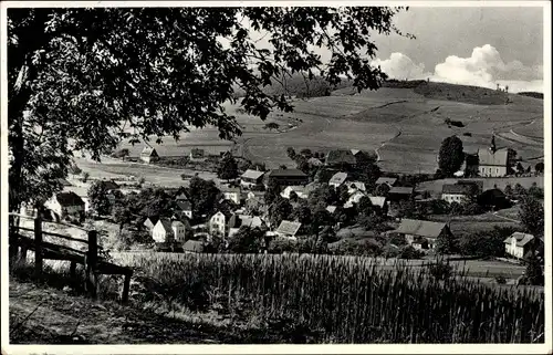 Ak Hinterhermsdorf Sebnitz Sachsen, Panorama