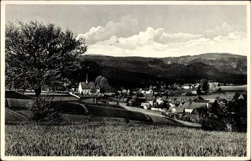 Ak Hinterhermsdorf Sebnitz, Blick auf den Ort, Kirche, Felder