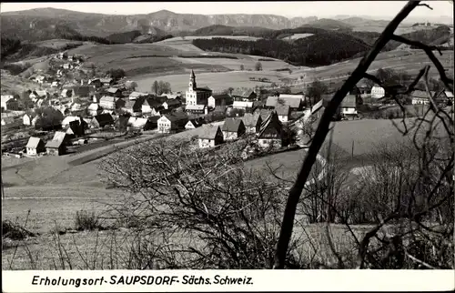 Ak Saupsdorf Sebnitz Sachsen, Panorama