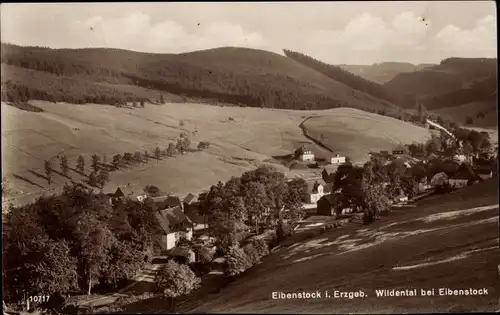 Ak Wildenthal Eibenstock im Erzgebirge, Panorama