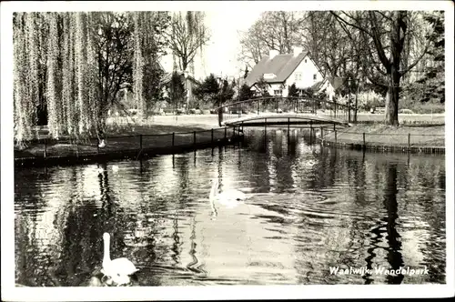 Ak Waalwijk Nordbrabant Niederlande, Wandelpark