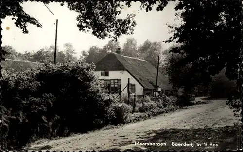 Ak Maarsbergen Utrecht Niederlande, Boerderij in 't Bos