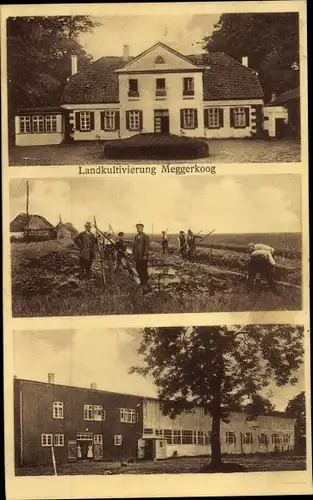 Ak Meggerkoog Meggerdorf in Schleswig Holstein, Landkultivierung, Gebäude