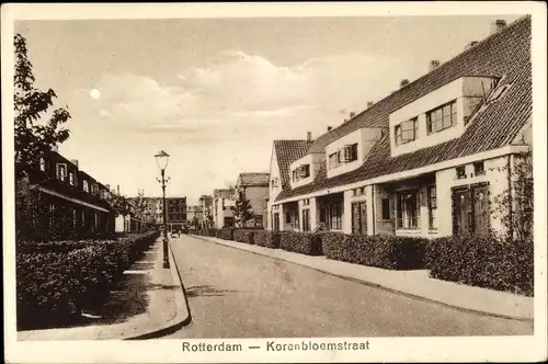 Ak Rotterdam Südholland Niederlande, Korenbloemstraat