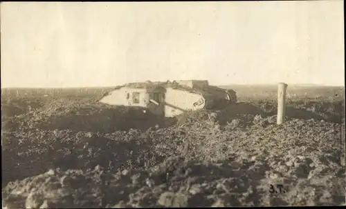 Foto Panzer im Gelände