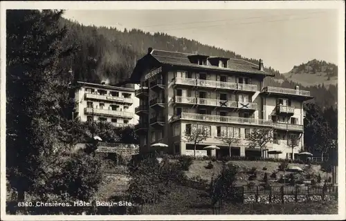 Ak Chesieres Kanton Waadt, Hotel Beau Site