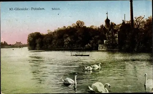 Ak Klein Glienicke Potsdam in Brandenburg, Schloss, Schwäne