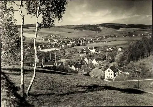 Ak Olbernhau im Erzgebirge, Panorama