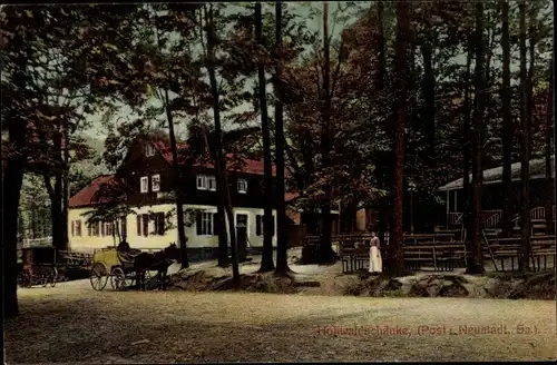 Ak Neustadt in Sachsen, Hohwaldschänke, Kutsche