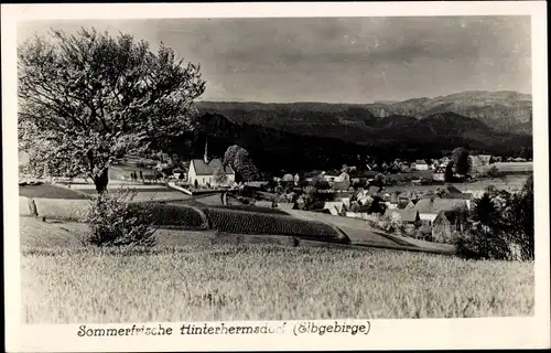 Ak Hinterhermsdorf Sebnitz, Blick auf den Ort, Kirche, Felder