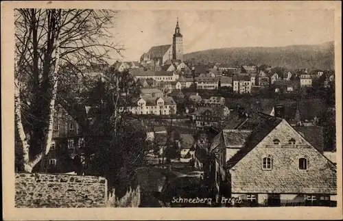 Ak Schneeberg im Erzgebirge, Ortsansicht mit Kirche