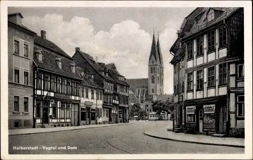 Ak Halberstadt in Sachsen Anhalt, Vogtei und Dom