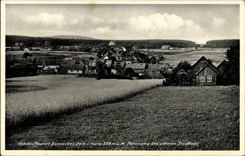 Ak Benneckenstein Oberharz, Panorama des unteren Stadtteils