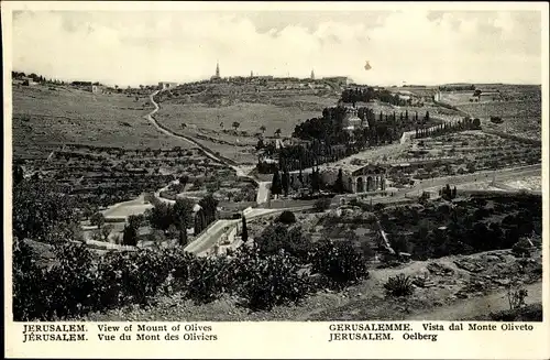 Ak Jerusalem Israel, View of Mount of Olives, Ölberg