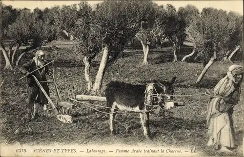 Ak Scenes et Types, Labourage, Femme Arabe trainant la Charrue, Maghreb, Pflug