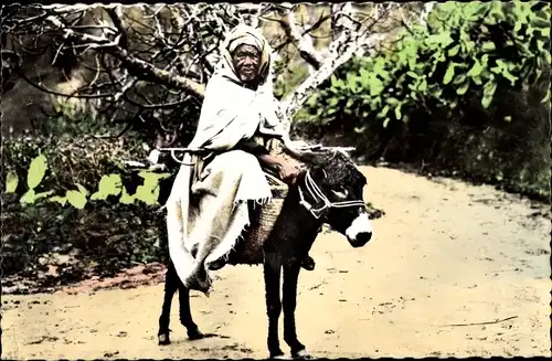 Ak La Kabylie, Un Centenaire se rendant au Marche, Maghreb, Esel