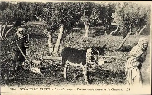 Ak Scenes et Types, Labourage, Femme Arabe trainant la Charrue, Maghreb, Pflug