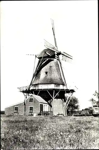 Ak Havelte Drenthe Niederlande, Molen aan Molenkampweg