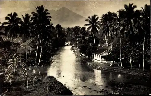 Ak Buitenzorg Bogor Java Indonesien, Palmen am Wasser