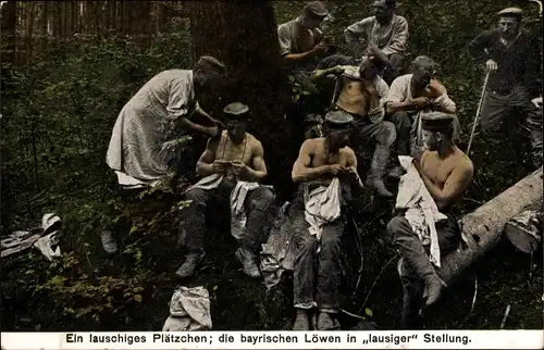 Ak Ein lauschiges Plätzchen, die bayrischen Löwen in lausiger Stellung, Soldaten suchen Flöhe