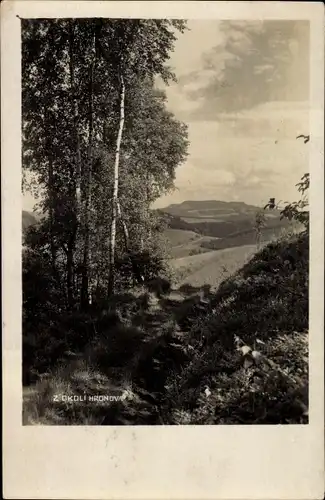Foto Ak Hronov Hronow Region Königgrätz, Bäume, Im Hintergrund Felder